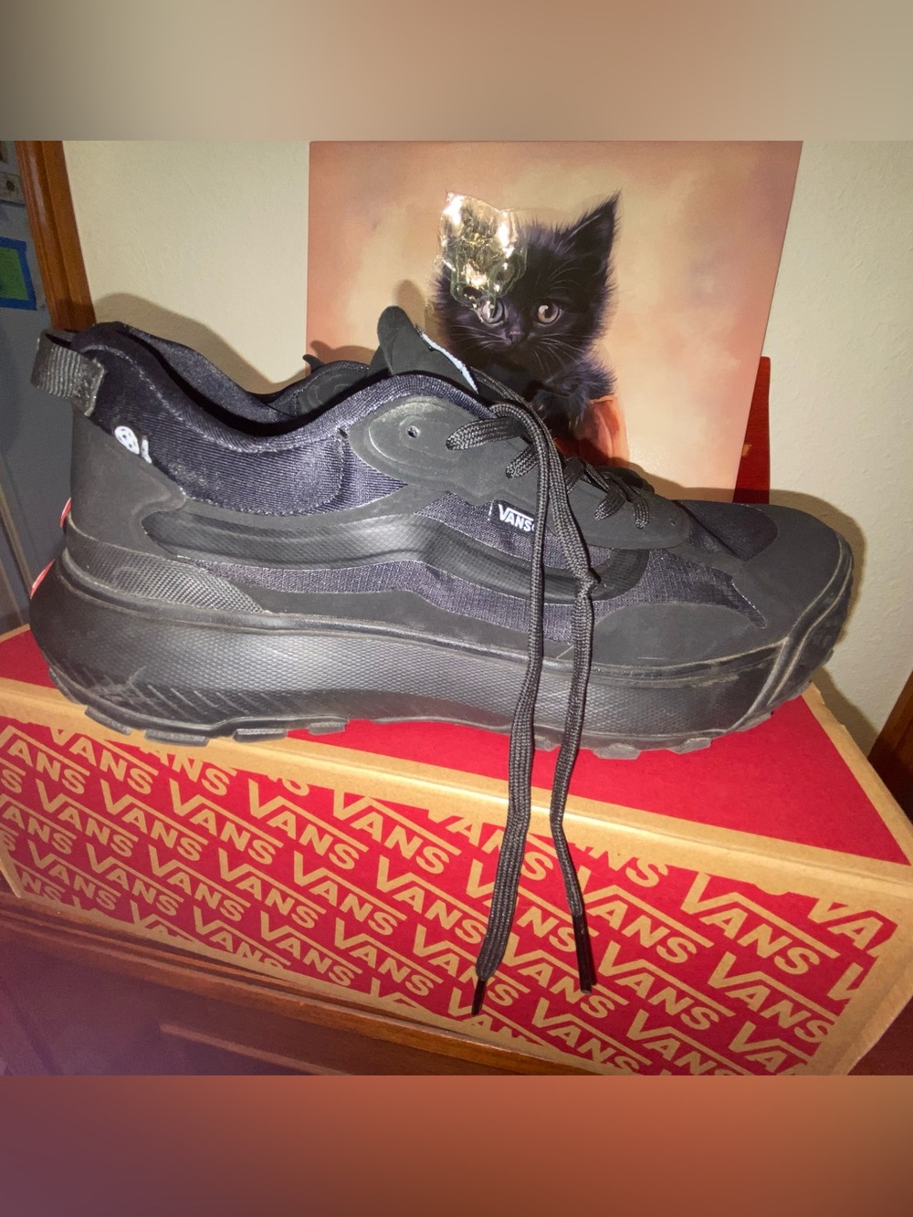 Vans Men's Black Low-Top Skate Sneakers